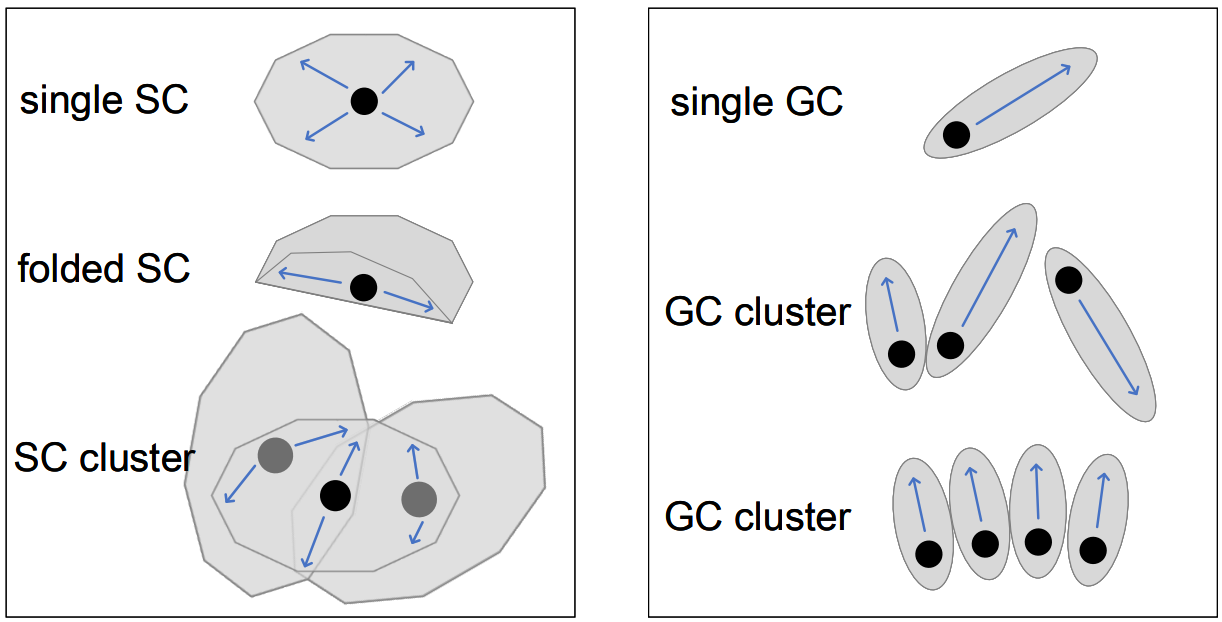 arxiv-2022-cervical.png