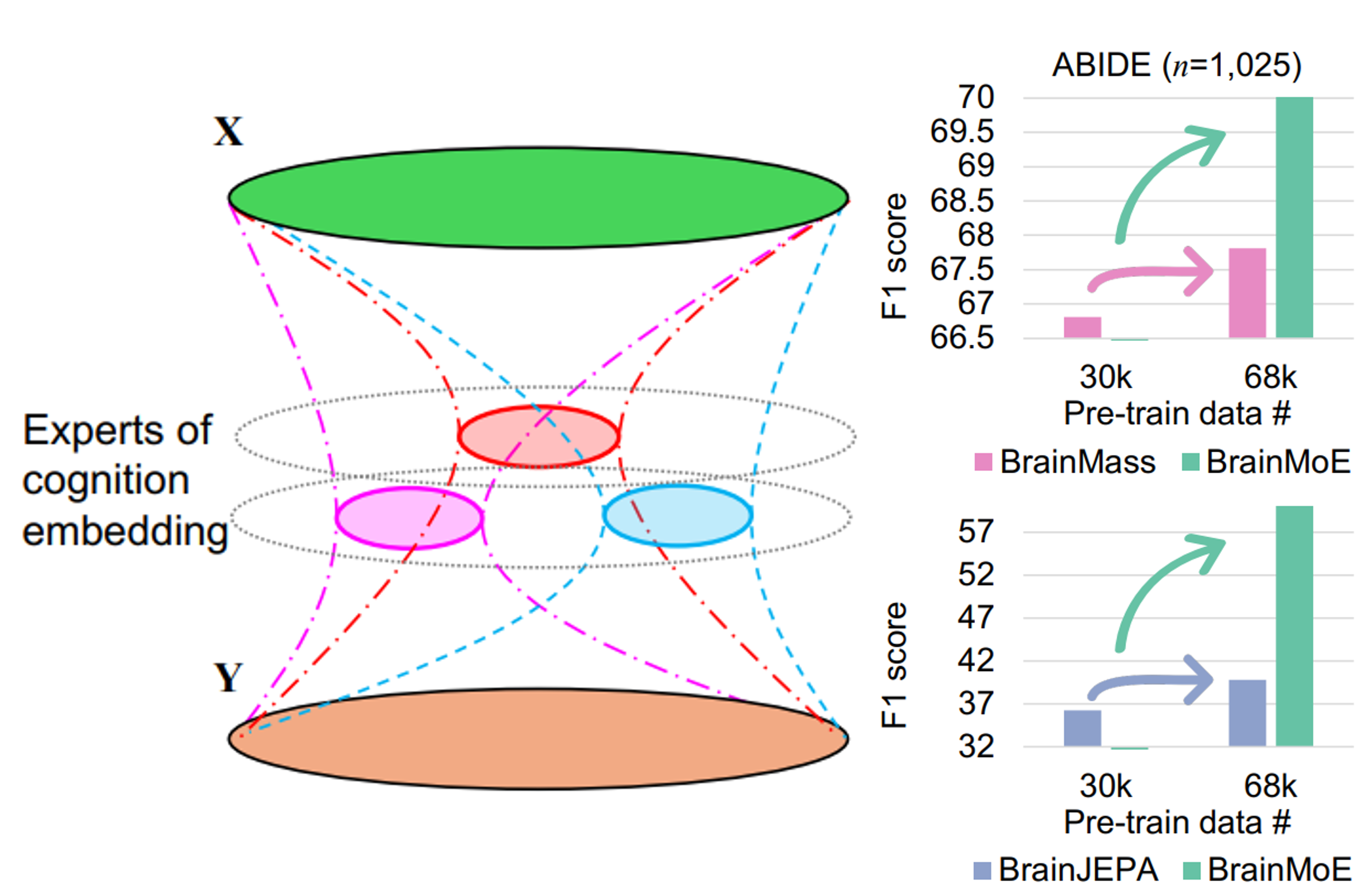 neurips-2025-brainmoe.png